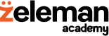 Zeleman Academy